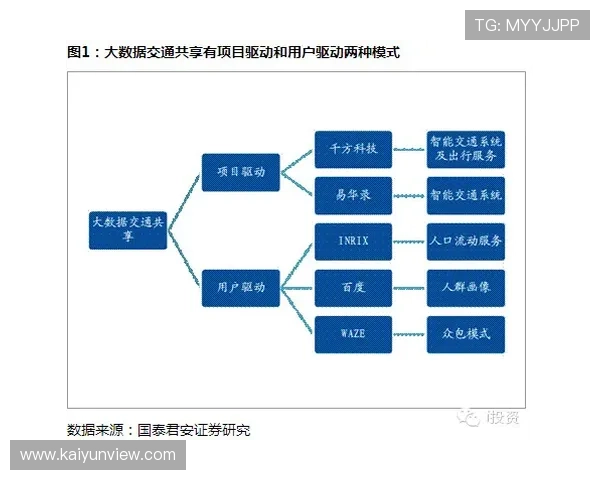 曼城俱乐部股东结构与投资决策全景解析